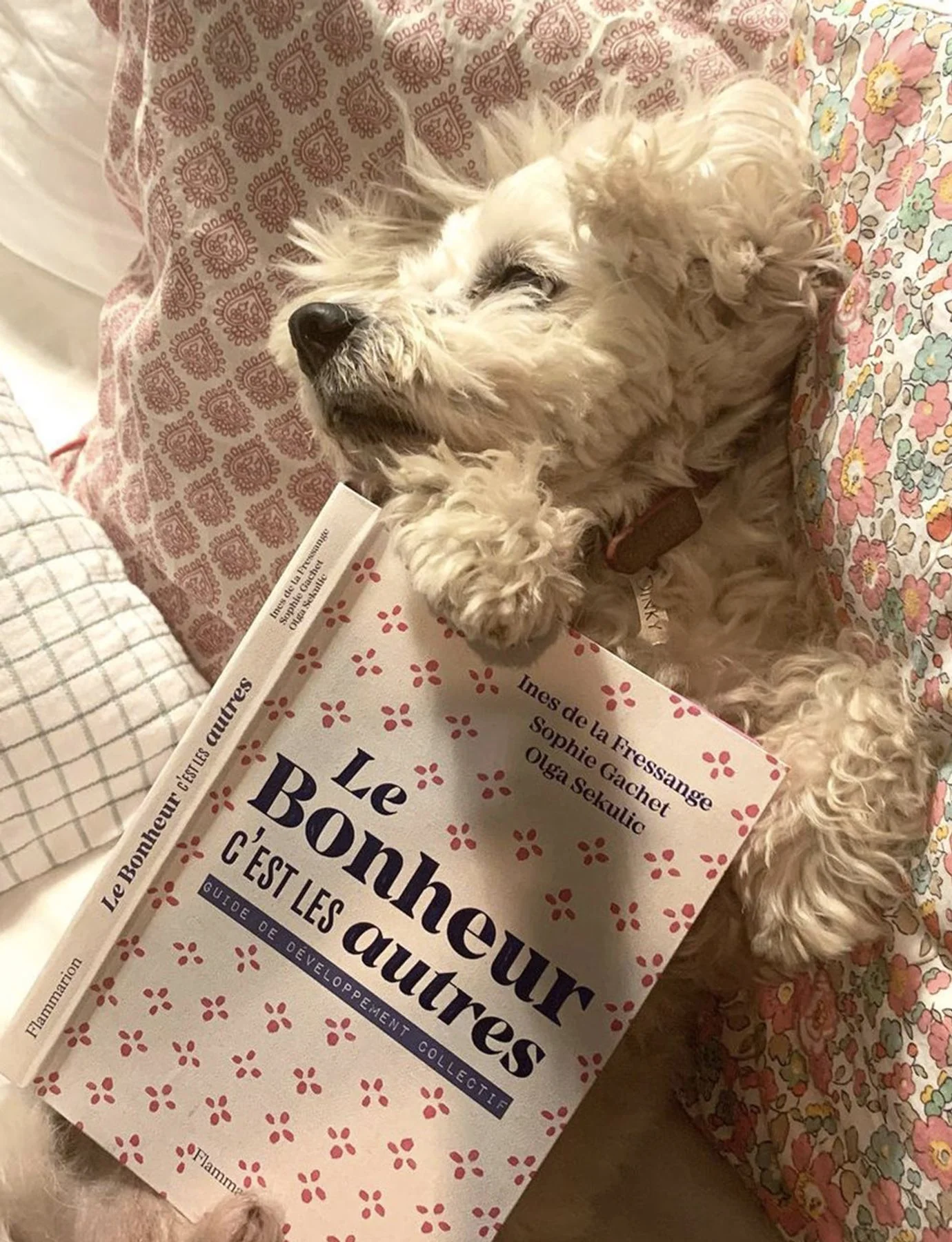 Livre Le Bonheur c'est les autres - Image 3