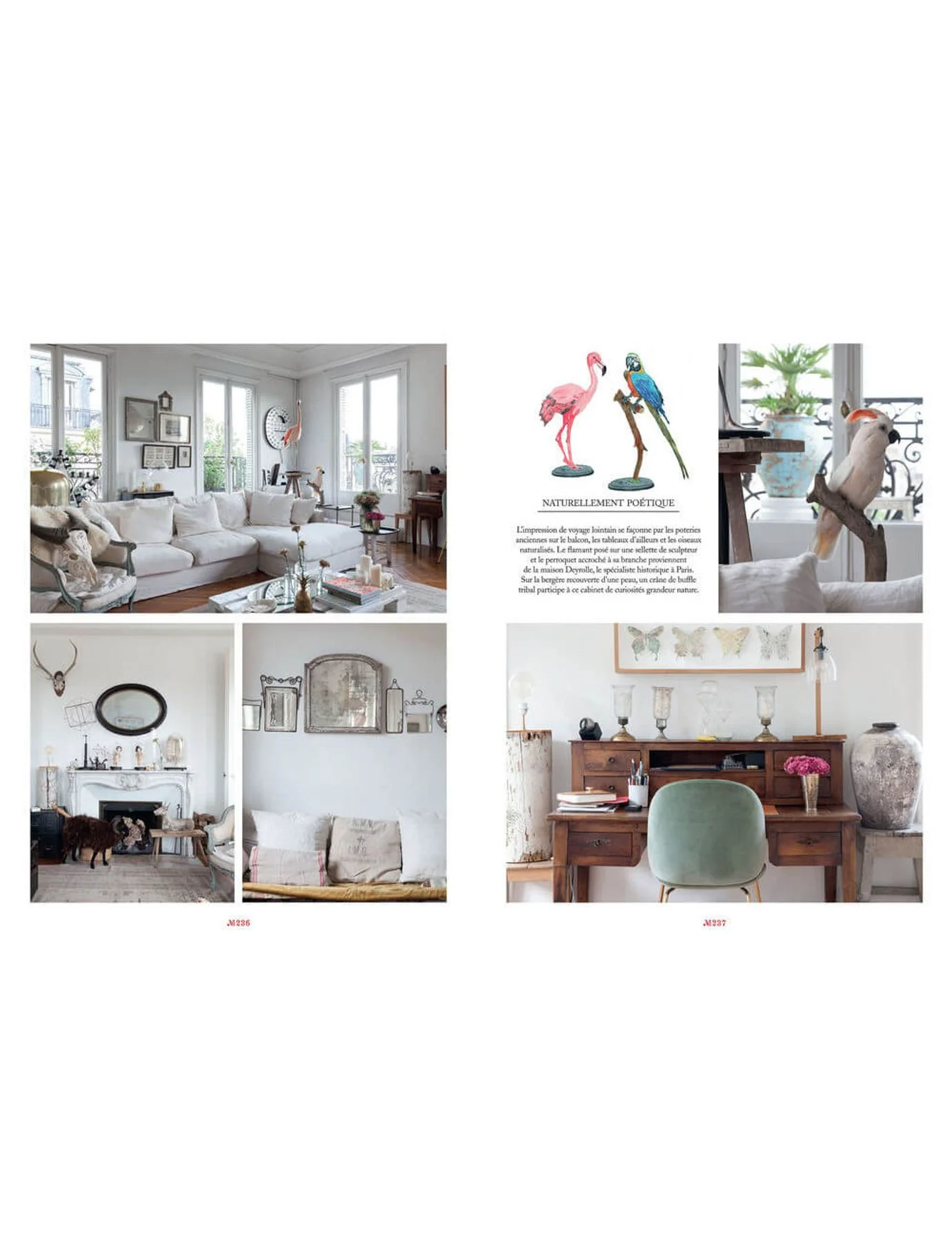 "Maison Parisian Chic At Home" Book in English, Livre en Anglais - Image 5
